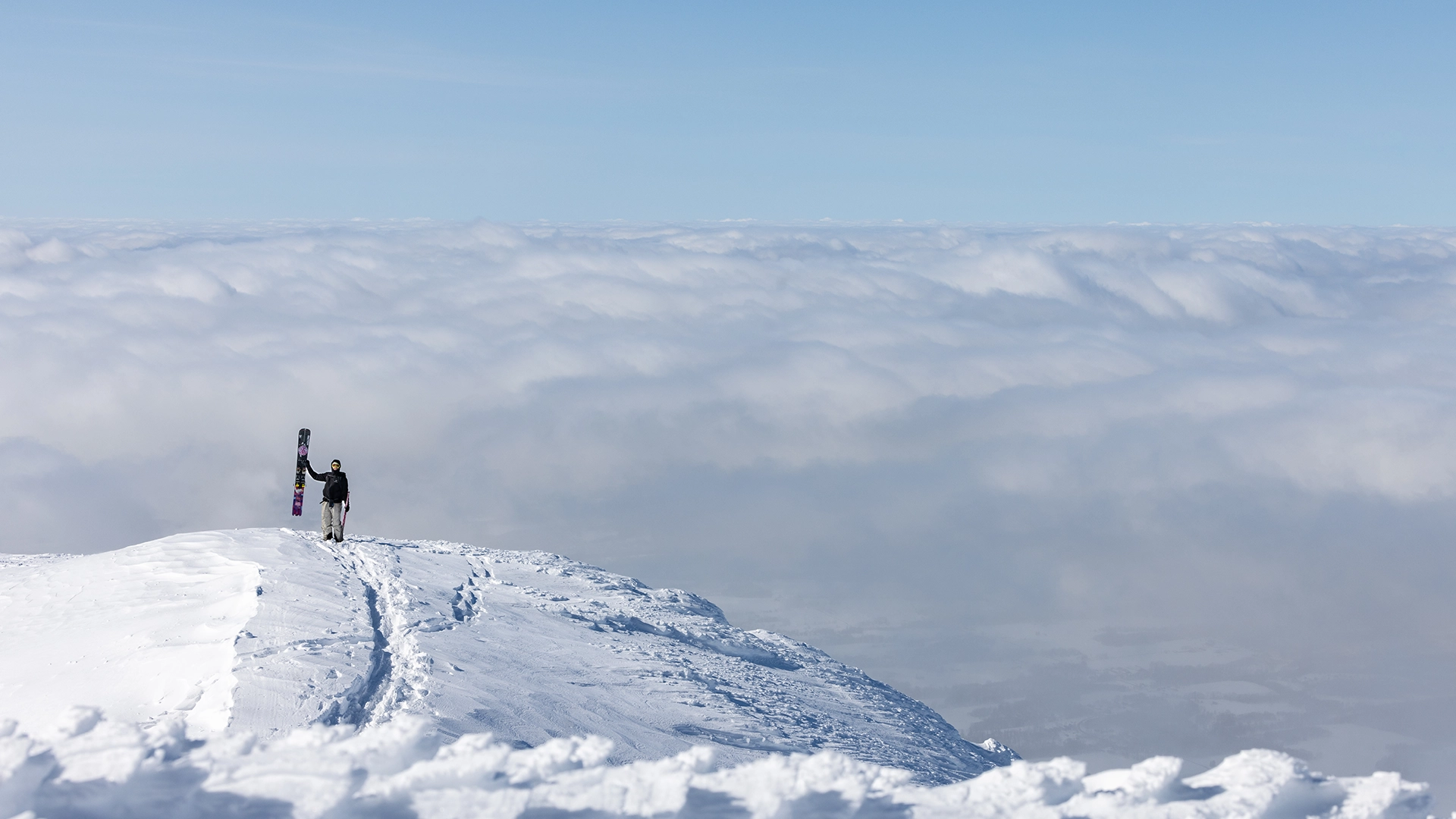 backcountry.webp backcountry.webp