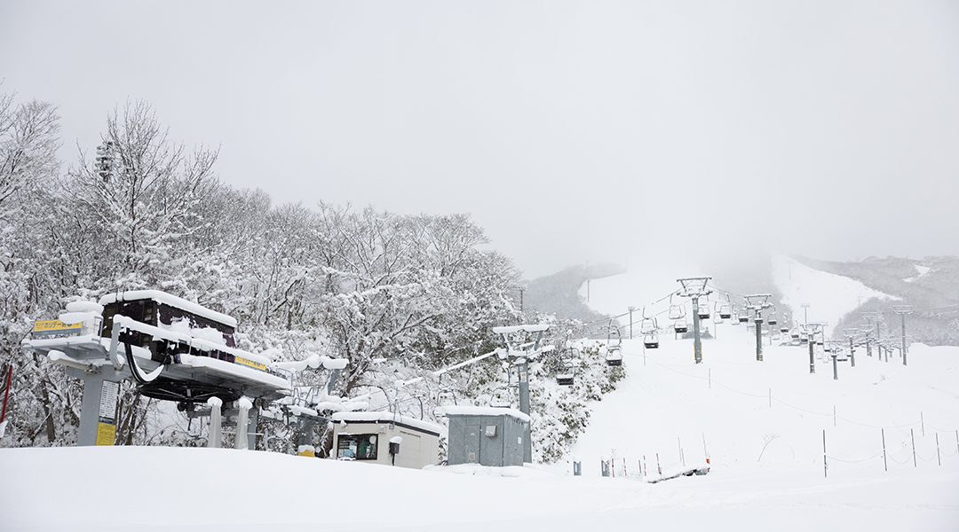 smallScenicHighlights23-24_IP-1851.jpg smallScenicHighlights23-24_IP-1851.jpg