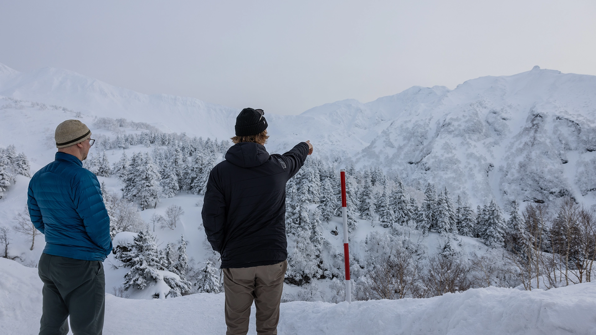 furanoscoutin.webp furanoscoutin.webp