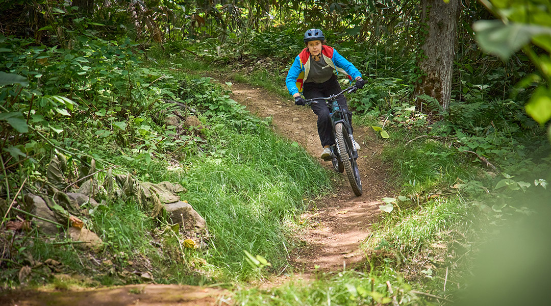 _DSC7114.jpg _DSC7114.jpg