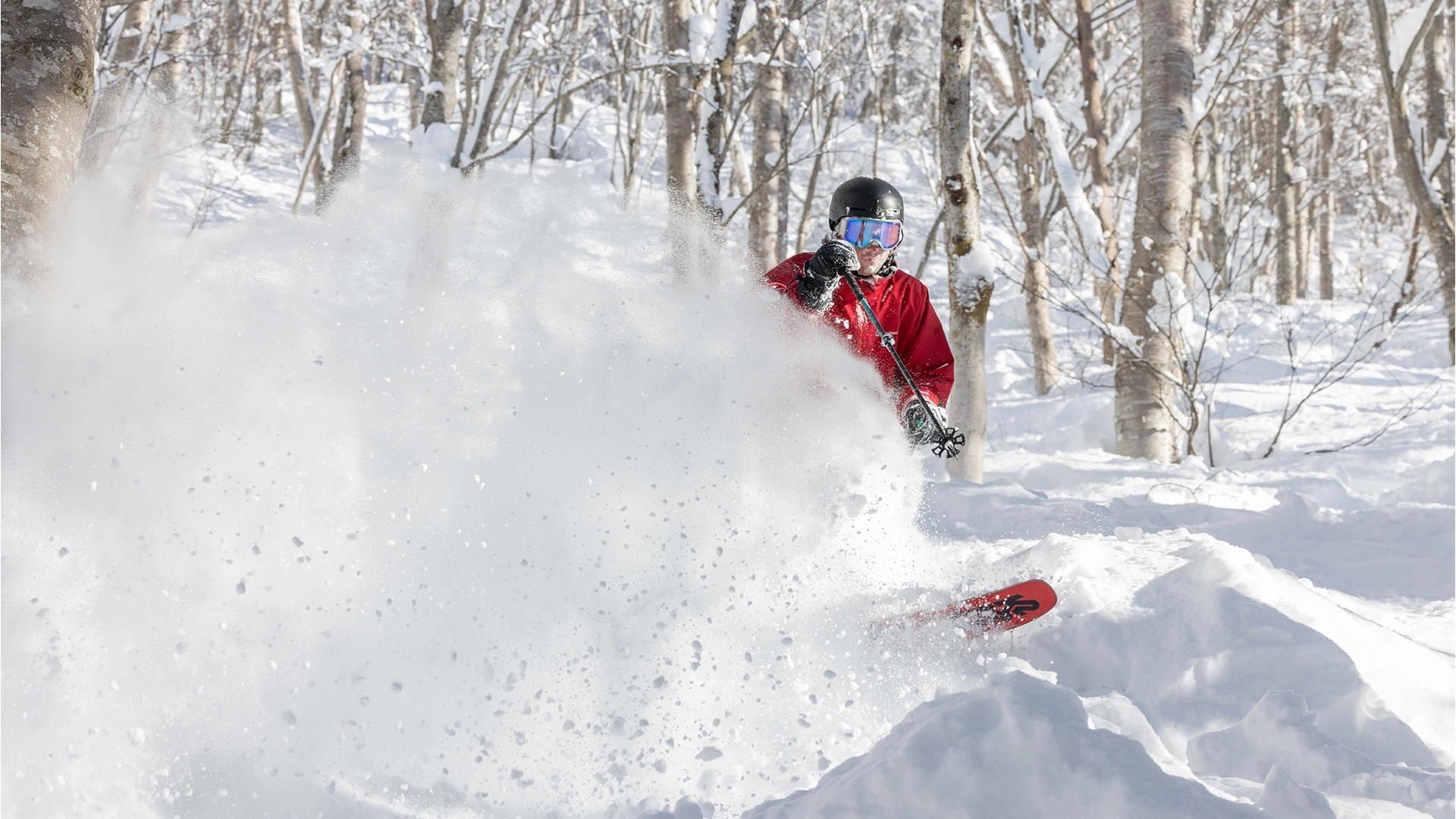 boom2.webp boom2.webp