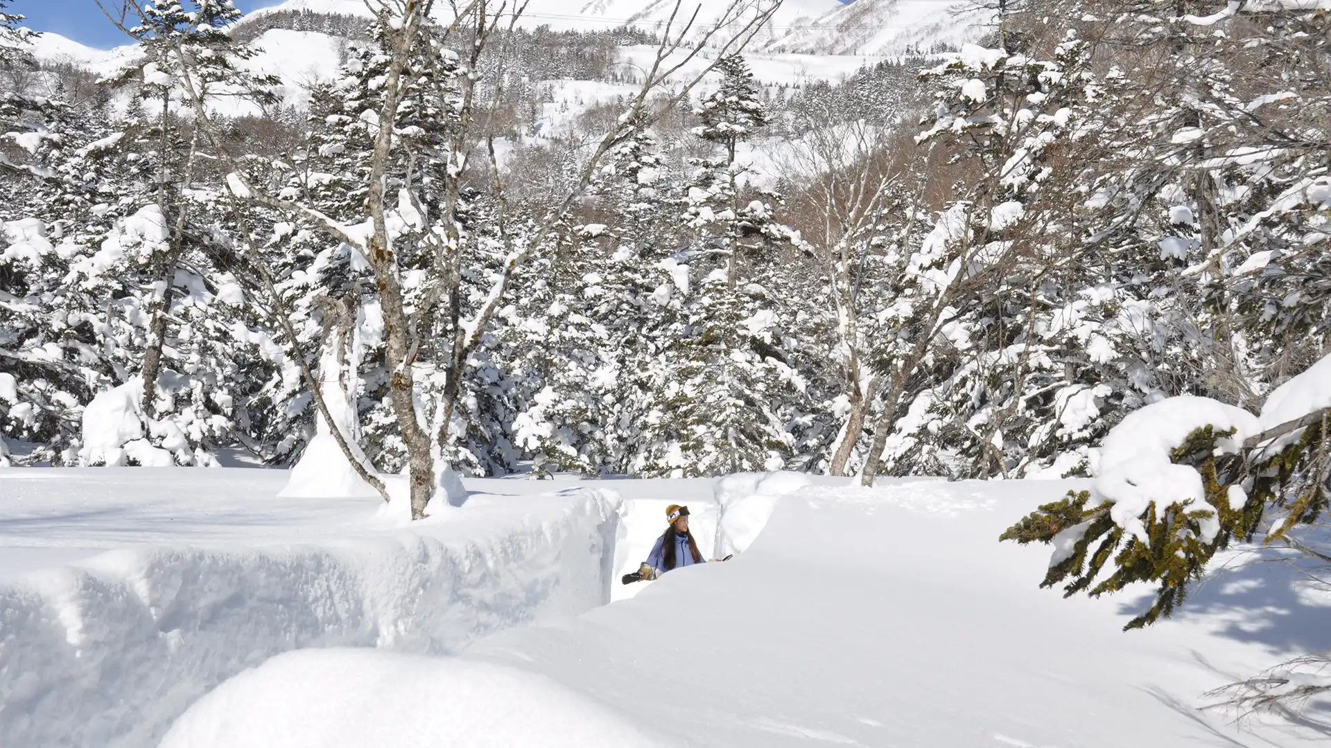 tsugaike-snowwall.webp tsugaike-snowwall.webp