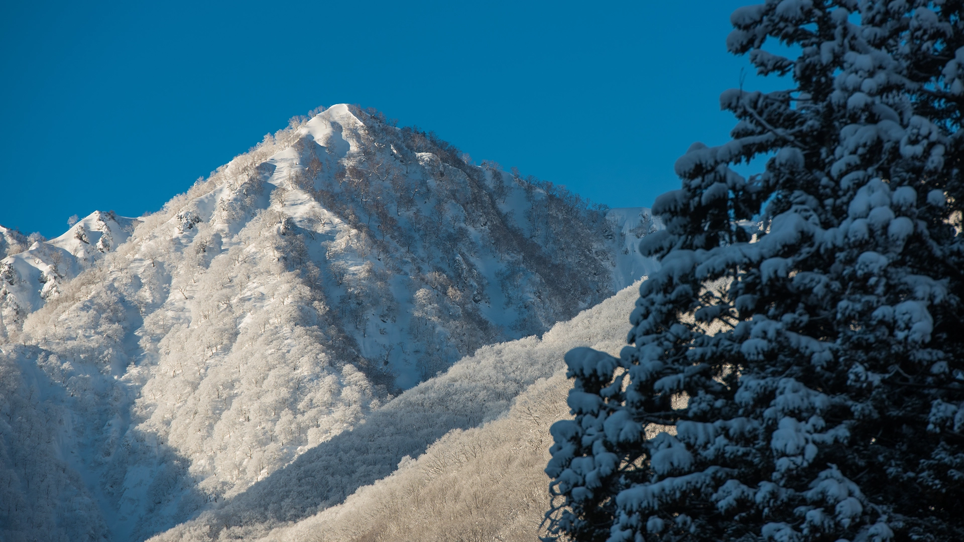 hakuba.webp hakuba.webp