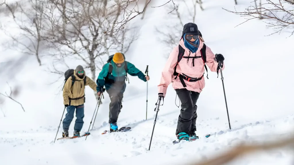 blossom-touring-1024x576.webp blossom-touring-1024x576.webp