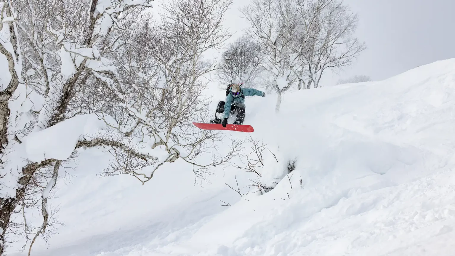 assa-1536x864.webp assa-1536x864.webp