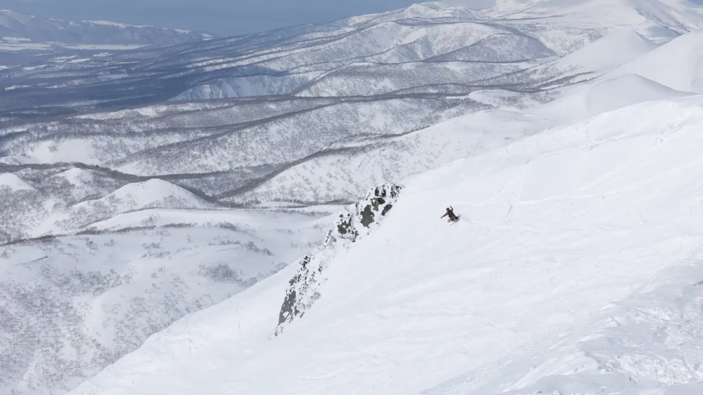 flecia-1024x576.webp flecia-1024x576.webp