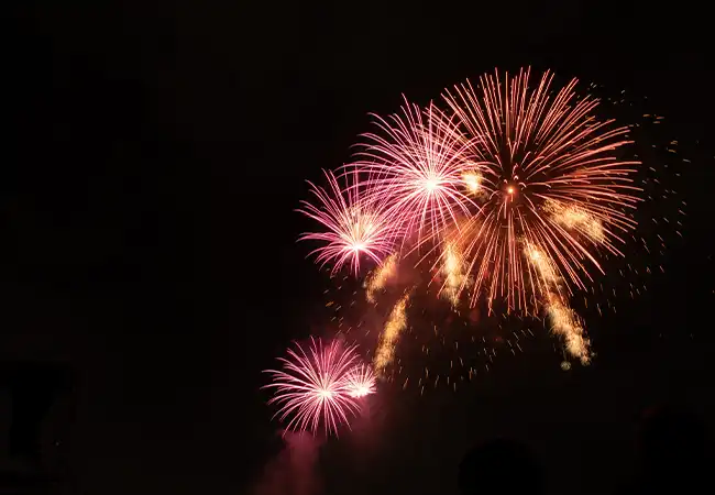fireworks.webp fireworks.webp