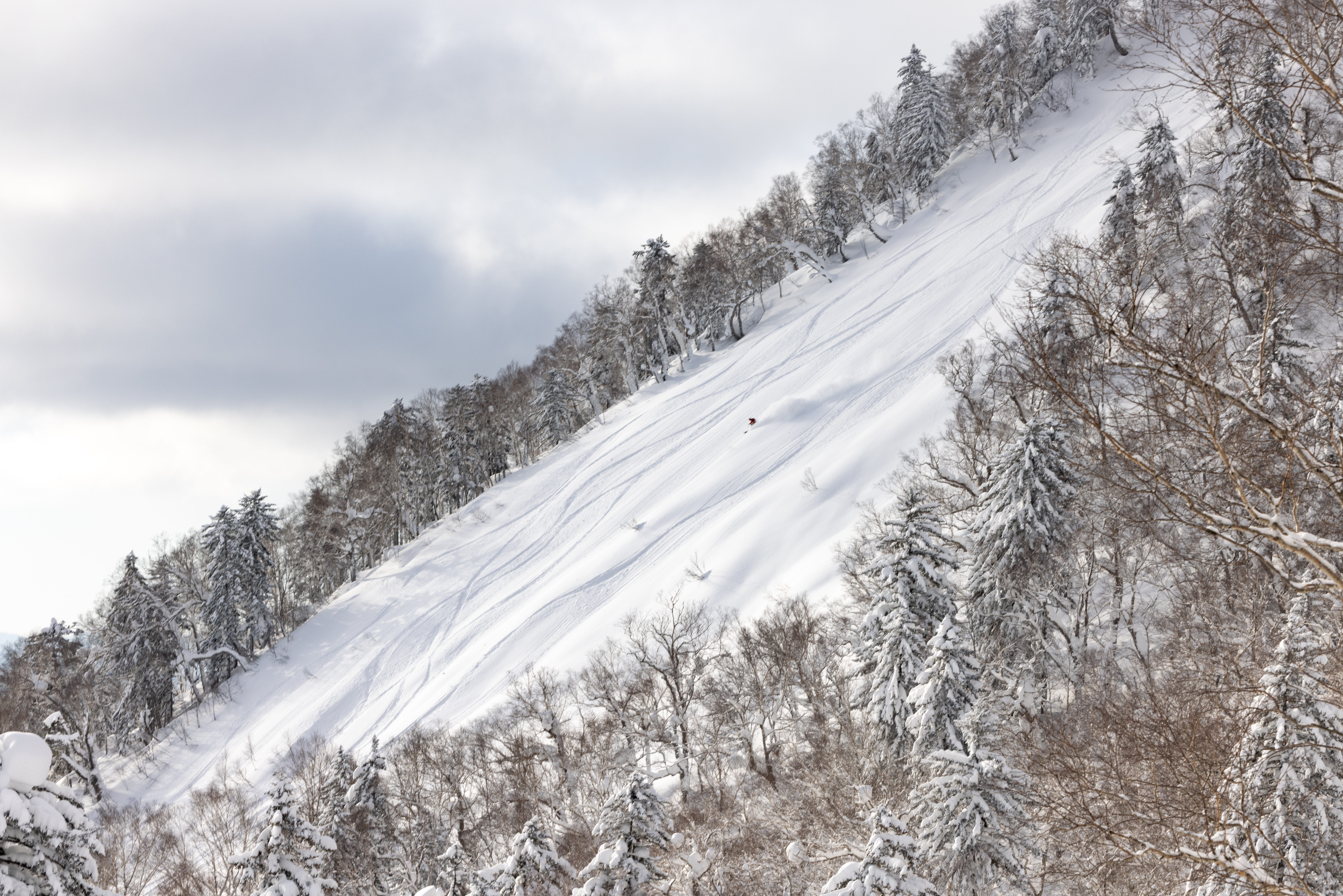 Furano_EvoTrip1_IP-2128.jpg Furano_EvoTrip1_IP-2128.jpg