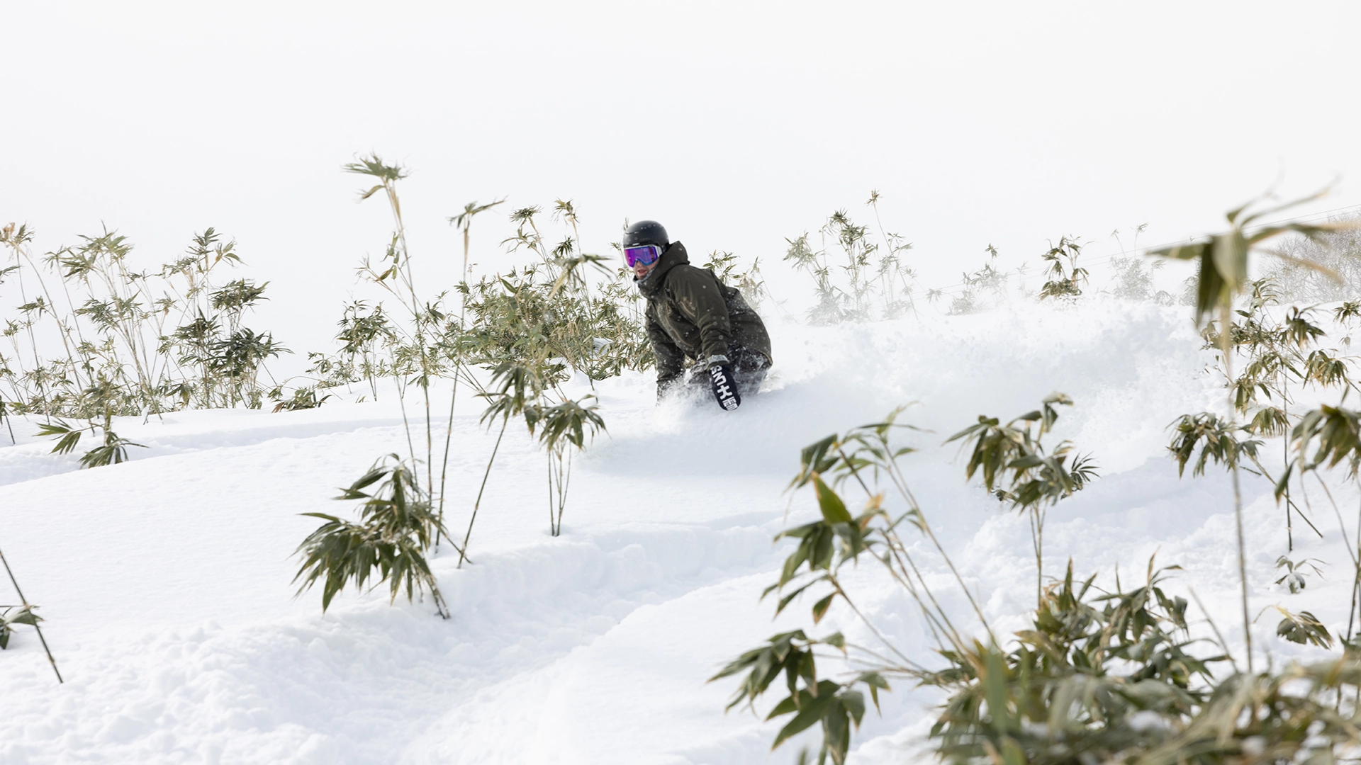 hanosassa.webp hanosassa.webp