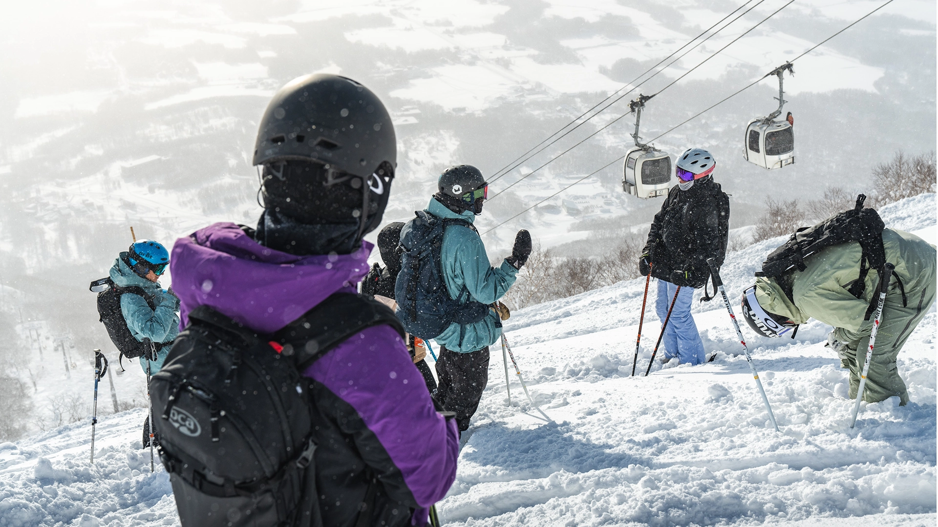 probin.webp probin.webp