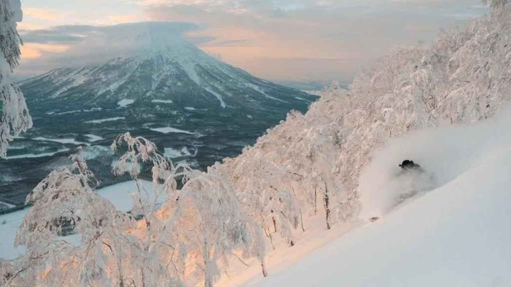 0josh-1024x576.webp 0josh-1024x576.webp