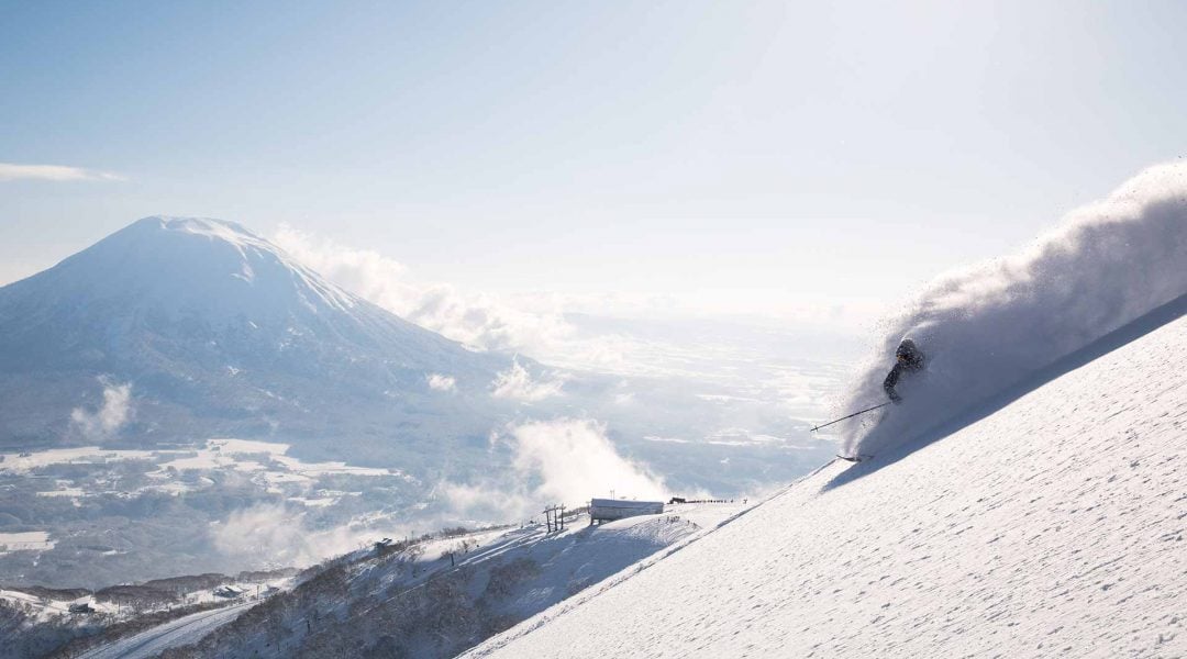 niseko guiding skiier